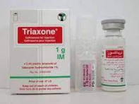 CEFTRIAXONE-TABUK 1g IM Image