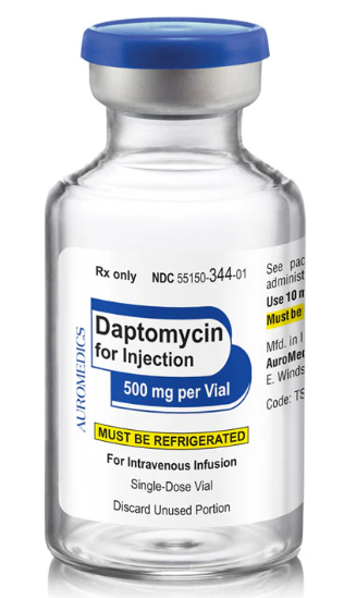 DAPTOMYCIN 500 mg (Xellia) Image