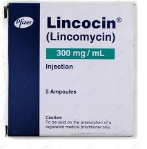 LINCOCIN 300mg/ml