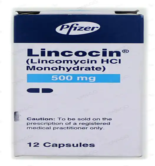 LINCOCIN 500mg