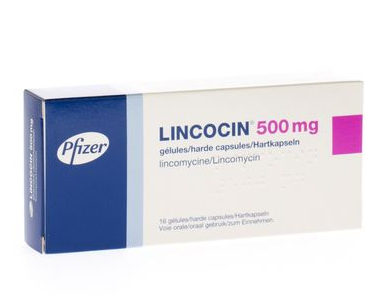LINCOCIN 500mg