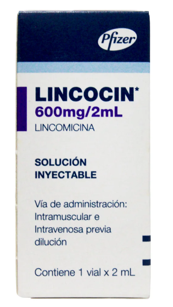 LINCOCIN 600mg/2ml