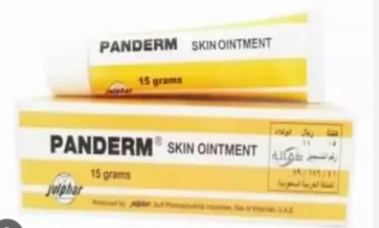 PANDERM Image