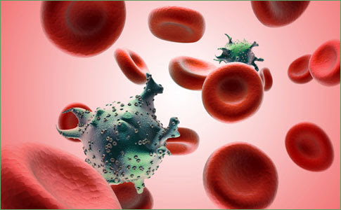 Acquired immunodeficiency syndrome (AIDS) Image