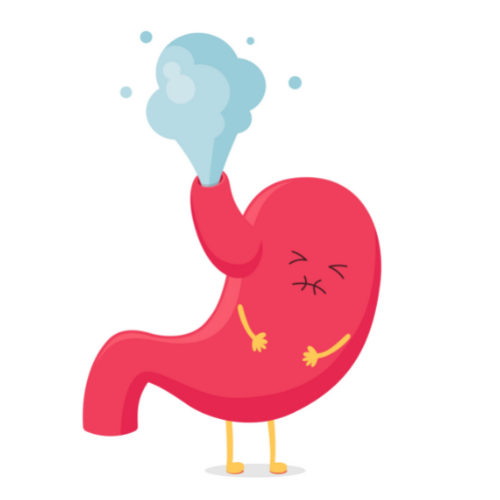 Flatulence Image