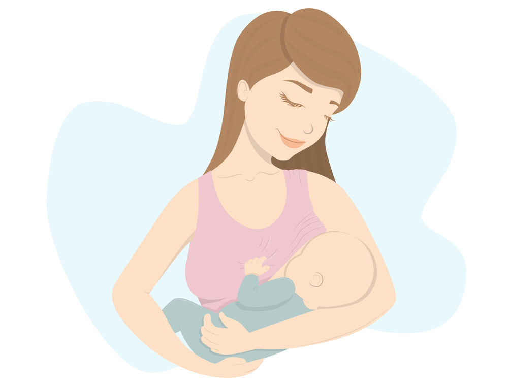 Lactation Image
