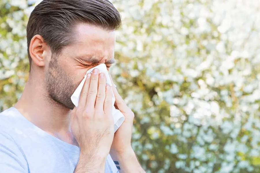 Allergic rhinitis Image