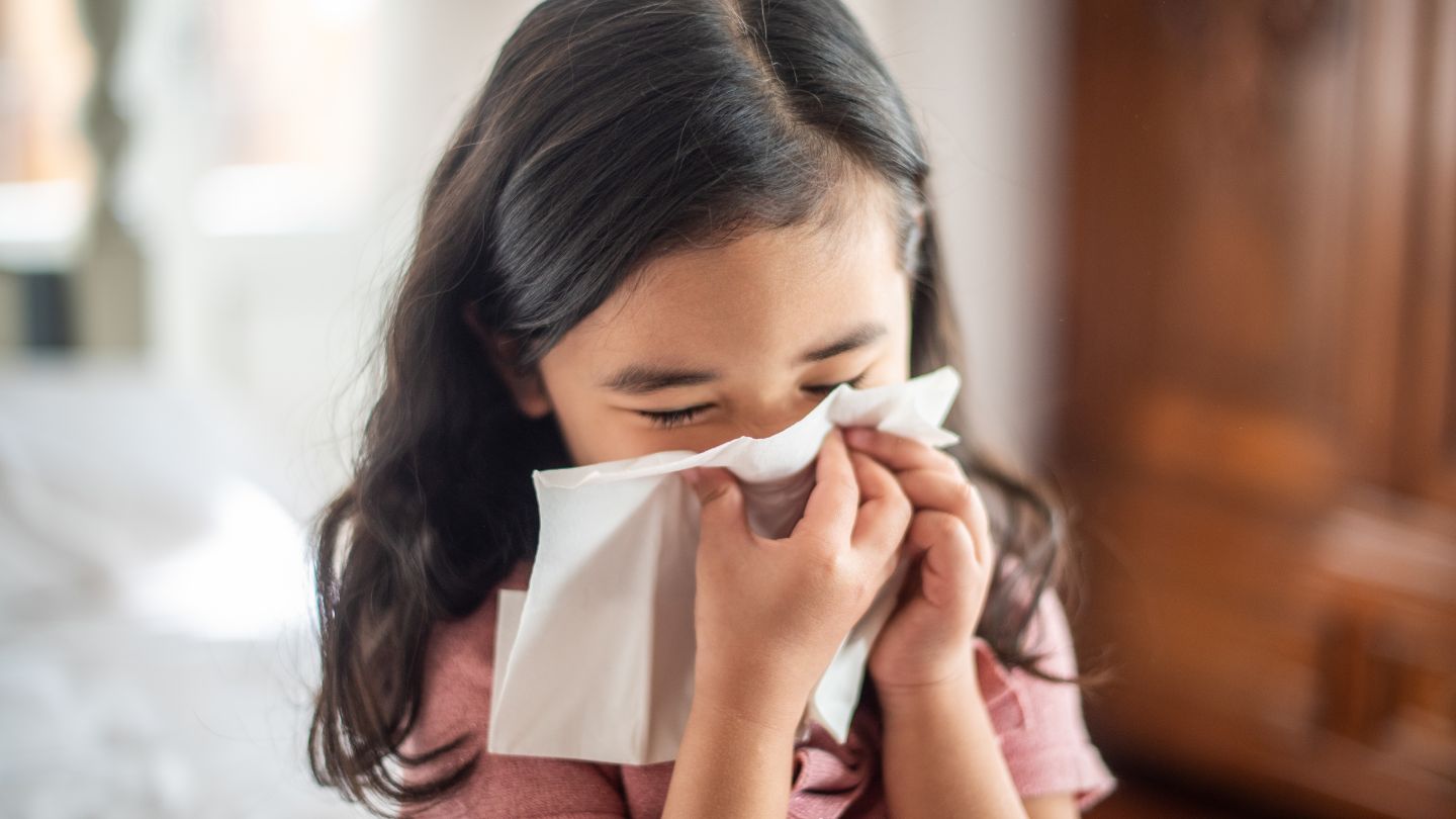 Perennial or seasonal allergic rhinitis Image